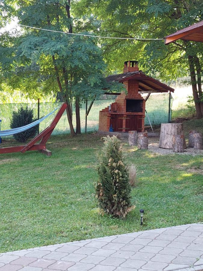 Pensiunea Sonia Cîrţişoara Dış mekan fotoğraf
