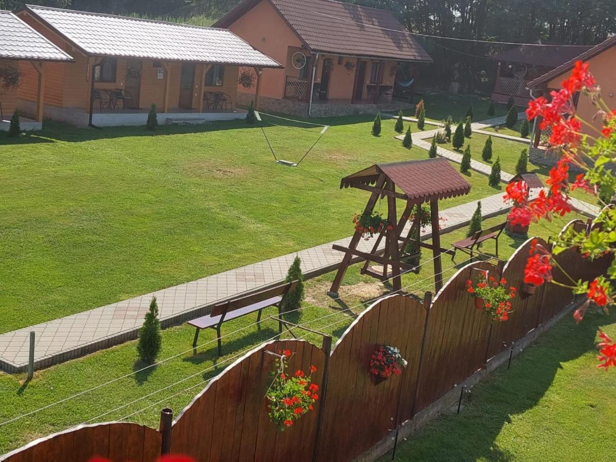 Pensiunea Sonia Cîrţişoara Dış mekan fotoğraf